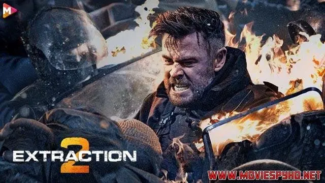Extraction 2